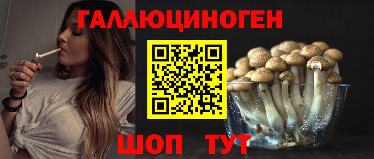 Галлюциногенные грибы MAGIC MUSHROOMS  Галлюциногенные грибы мицелий  Комсомольск-на-Амуре  Вход с VPN 