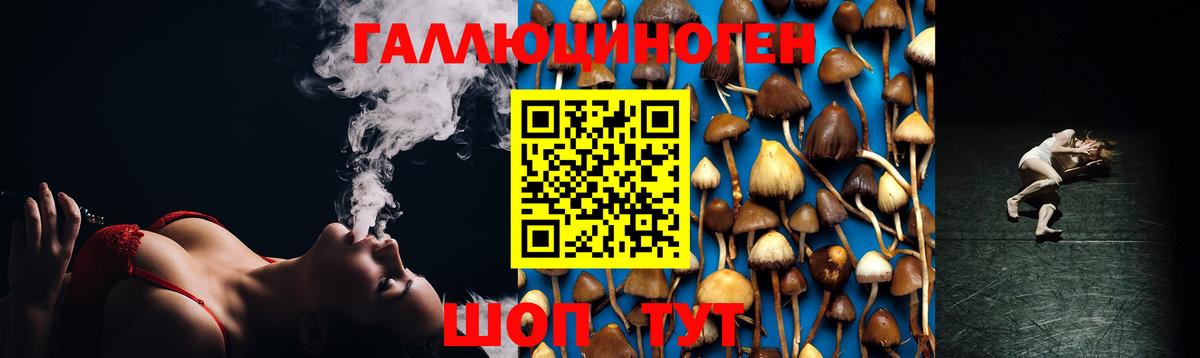 Псилоцибиновые грибы ЛСД Комсомольск-на-Амуре